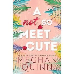 A Not So Meet Cute (Cane Brothers, 1)